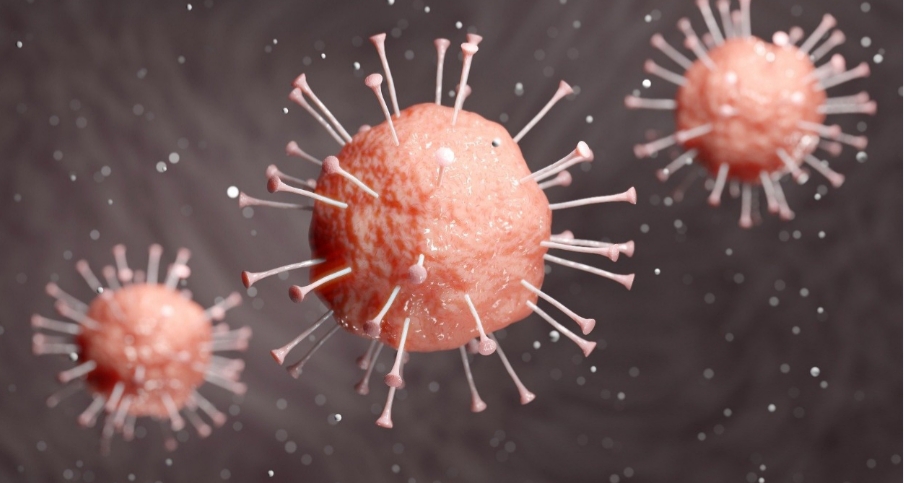 Coronavírus: Prefeitura anuncia medidas de prevenção na cidade contra a doença