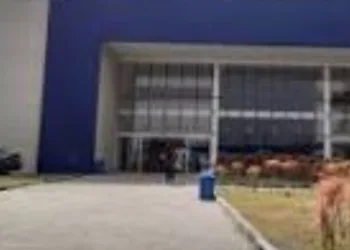 Campo Grande – Atento- processo seletivo com senhas para vagas de emprego,  veja como
