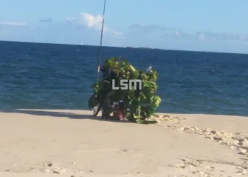 Banhista tenta ‘despistar’ a Guarda Municipal em praia do Rio