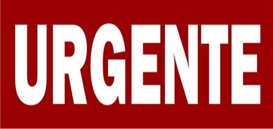 Confirmado primeiro caso de coronavírus em animal doméstico transmitido pelo dono