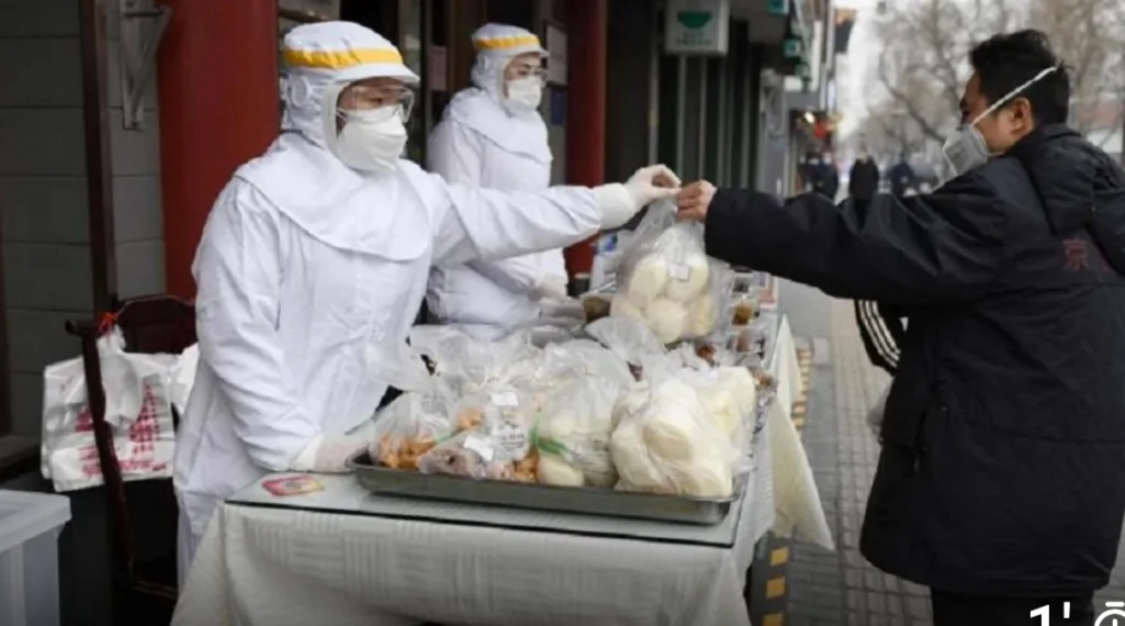 China proibiu “totalmente” o consumo e comércio de animais selvagens