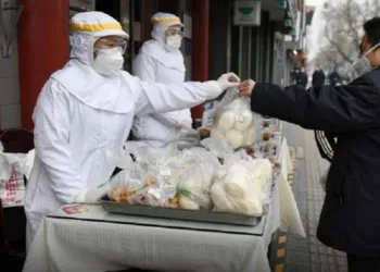 China proibiu “totalmente” o consumo e comércio de animais selvagens