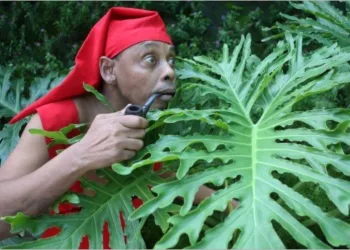 Morre aos 61 anos no Rio de Janeiro, o ator que interpretou o Saci no Sítio do Pica Pau Amarelo