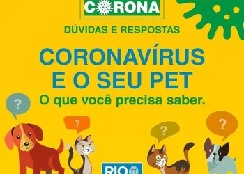 COVID-19 | RECOMENDAÇÕES IMPORTANTES PARA A PROTEÇÃO DO PET
