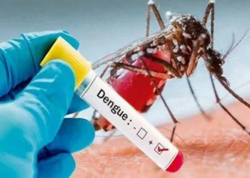 Em meio ao coronavírus, casos de dengue crescem no Brasil e preocupam
