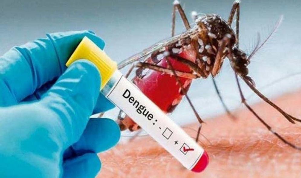 Em meio ao coronavírus, casos de dengue crescem no Brasil e preocupam