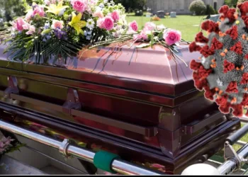 Mortes por coronavírus não terão cobertura do seguro de vida ? Veja o que diz o Projeto de Lei