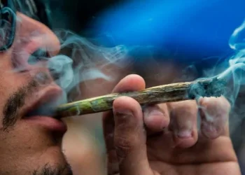 Fumar maconha aumenta o risco de complicações do coronavírus, diz pneumologista