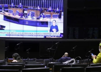Urgente !! Câmara aprova destaque para permitir o pagamento sem CPF regular