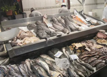 Campanha vai estimular consumo de pescado durante pandemia