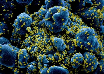 Covid-19: pesquisadores descobrem uma nova via de entrada do vírus no corpo humano