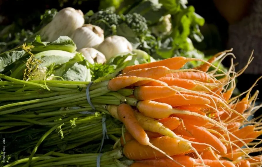 Médicos da Prefeitura do Rio ensinam como aumentar a imunidade, em tempos de Covid-19, com medidas fáceis de encaixar no dia a dia