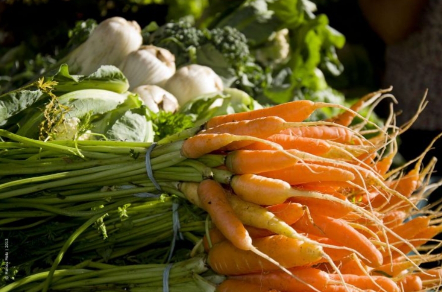 Médicos da Prefeitura do Rio ensinam como aumentar a imunidade, em tempos de Covid-19, com medidas fáceis de encaixar no dia a dia