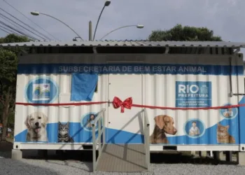 Inaugurado posto de saúde para cães e gatos em Paciência