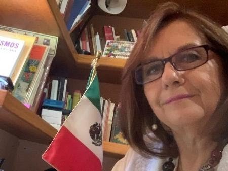 Senadora esquece câmera e troca de roupa durante videoconferência