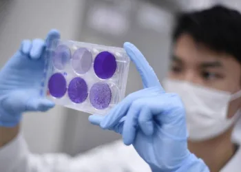 Nova vacina contra o novo coronavírus é autorizada para testes no Brasil