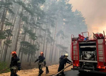 Incêndio florestal na Ucrânia deixa seis mortos e nove feridos