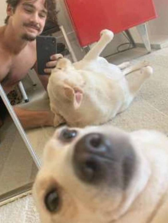 Cadela que perdeu dona para o coronavírus é adotada pelo ator Nicolas Prattes