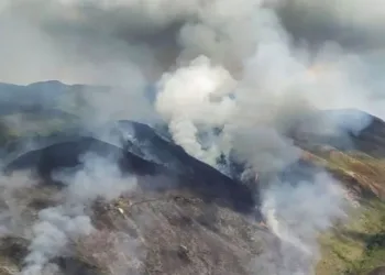 Incêndio criminoso ameaça 15 mil metros quadrados de reserva no Rio