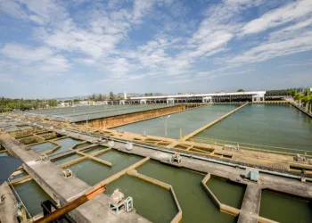 Cedae disponibiliza serviço de parcelamento pela internet