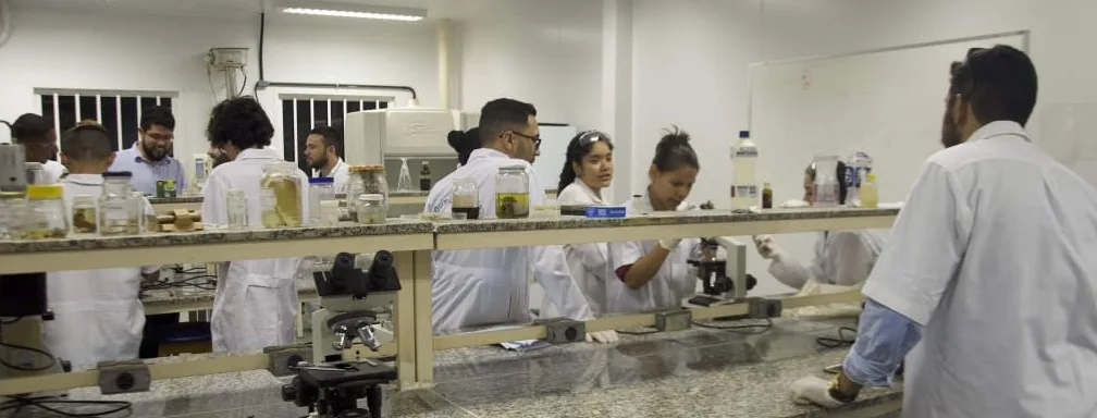 UEZO completa 15 anos