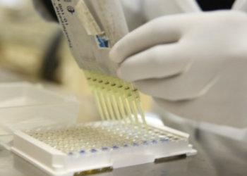 Boletim Coronavírus (16/07): 11.849 óbitos e 134.573 casos confirmados