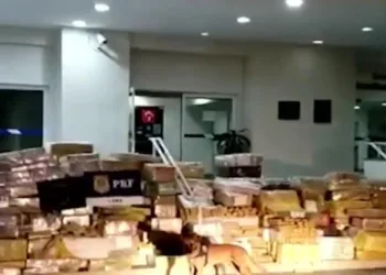 Polícia apreende cerca de cinco toneladas de maconha na Dutra – Video