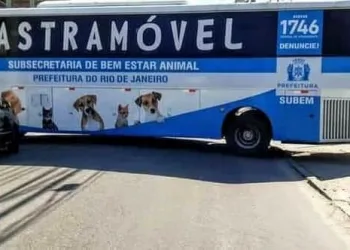 O Castramóvel Da Prefeitura Chega na zona oeste