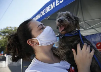 Prefeitura do Rio faz live inédita para adoção de cães e gatos com quase 23 mil pessoas online