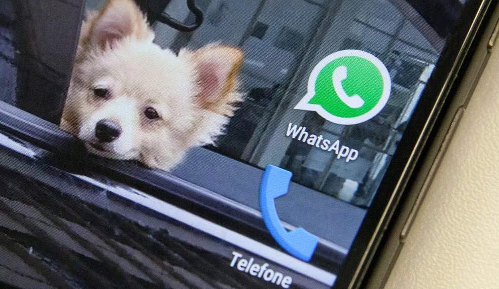Usuários relatam problemas para acessar WhatsApp nesta Terça
