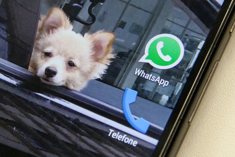 Usuários relatam problemas para acessar WhatsApp nesta Terça