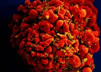 Caso de brasileiro soropositivo em remissão aumenta esperança de cura da Aids