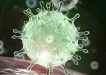 Estado do Rio alcança pela 1ª vez índice reduzido de contaminação do coronavírus