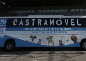 ATENÇÃO MORADORES DE CAMPO GRANDE!! É O MOMENTO DE CASTRAR SEU ANIMAL ( GRATUITAMENTE)