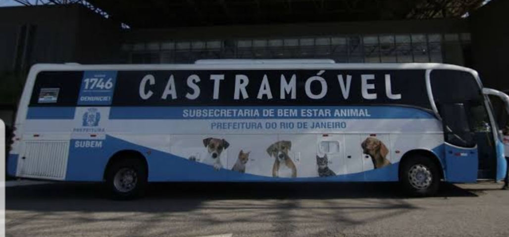 ATENÇÃO MORADORES DE CAMPO GRANDE!! É O MOMENTO DE CASTRAR SEU ANIMAL ( GRATUITAMENTE)