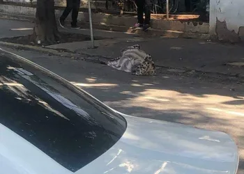 Corpo é deixadona calçada de hospital na zona oeste ( fotos)