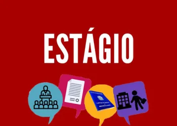 Fundação Mudes oferece, nesta semana, 199 vagas de estágio