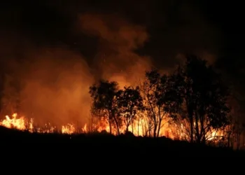 Fumaça de queimadas no Pantanal já chegou ao Rio neste domingo (20)