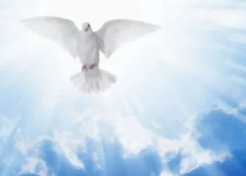 O Espírito Santo está abençoando sua vida e colocando vitórias em seu caminho. Não desanime!