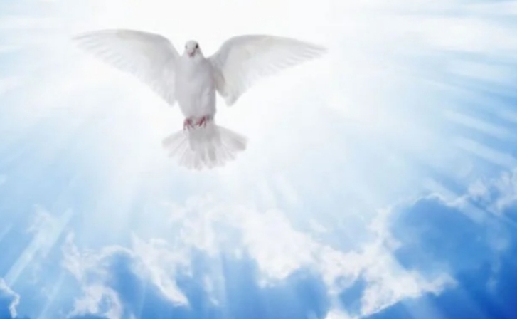 O Espírito Santo está abençoando sua vida e colocando vitórias em seu caminho. Não desanime!