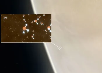 Sinais de vida em outro planeta? Molécula rara em Vênus pode sinalizar presença de vida extraterrestre