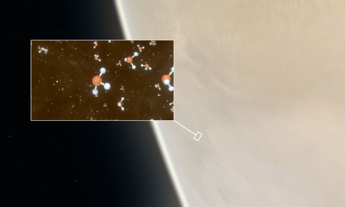 Sinais de vida em outro planeta? Molécula rara em Vênus pode sinalizar presença de vida extraterrestre