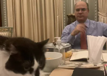 Deputados fazem campanha nas redes sociais para pedir saída Witzel do Palácio Laranjeiras