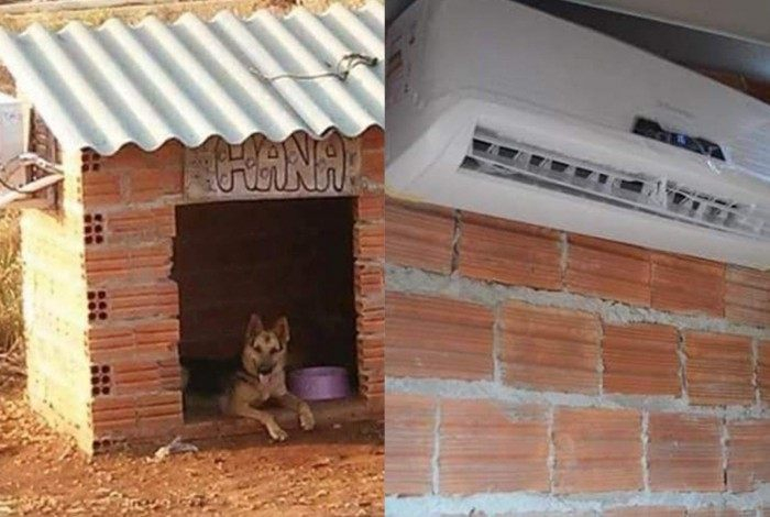Casinha de cachorro com ar condicionado viraliza na internet