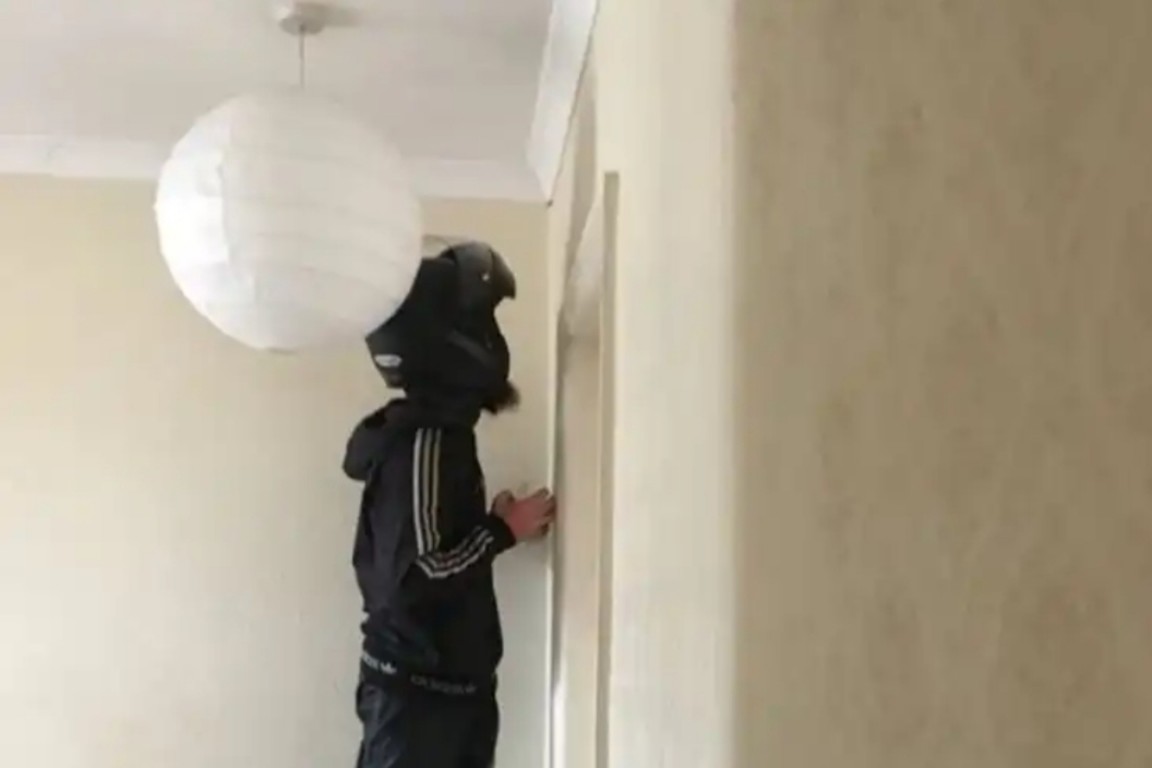 Sozinha em casa, jovem pede comida só para entregador matar aranha