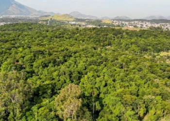 Prefeitura desiste oficialmente de construir autódromo na zona oeste