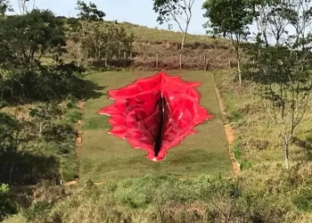 Artista plástica é atacada nas rede após esculpir vagina de 33 metros na terra