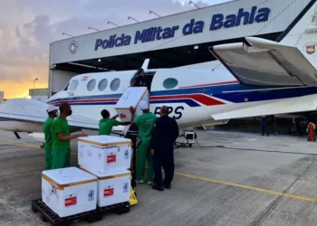 Avião com vacinas da Covid-19 se choca com jumento em pista de pouso na Bahia