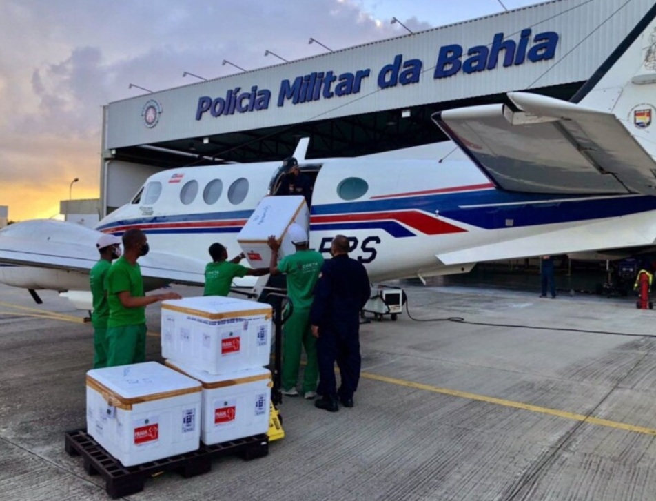 Avião com vacinas da Covid-19 se choca com jumento em pista de pouso na Bahia