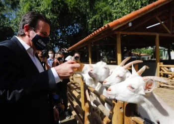 Prefeitura inaugura o BioParque do Rio, um novo conceito de zoológico, com mais de mil animais